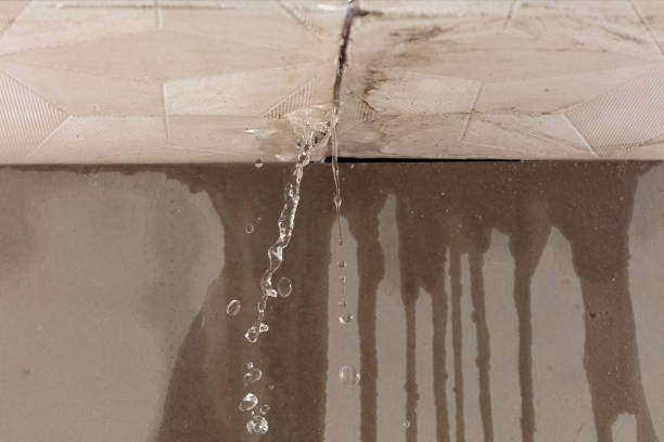 Professional Sewage Cleanup technician working in Signal Hill, CA